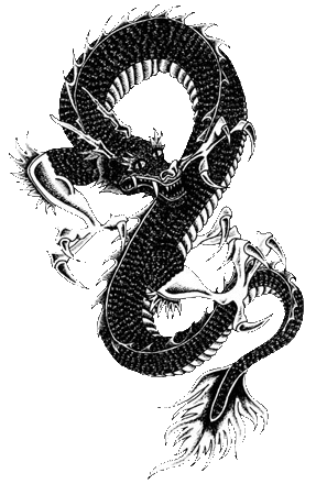 tatsu dragon